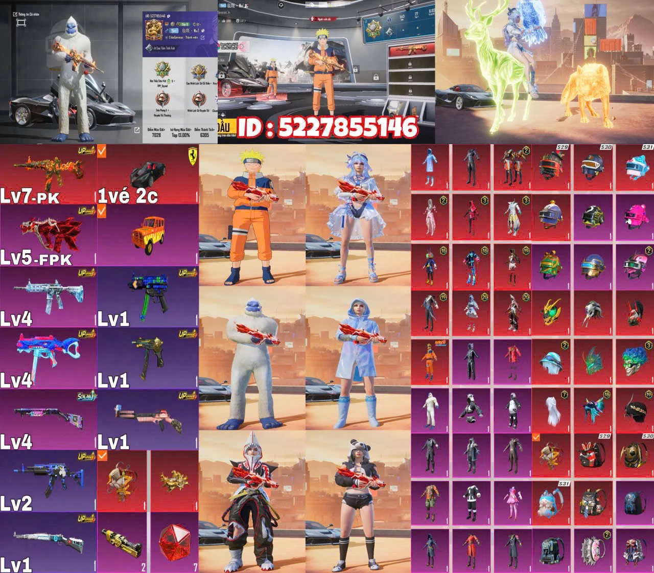 Ảnh tài khoản mã 23375